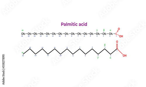 Palmitic acid [chemical structure]