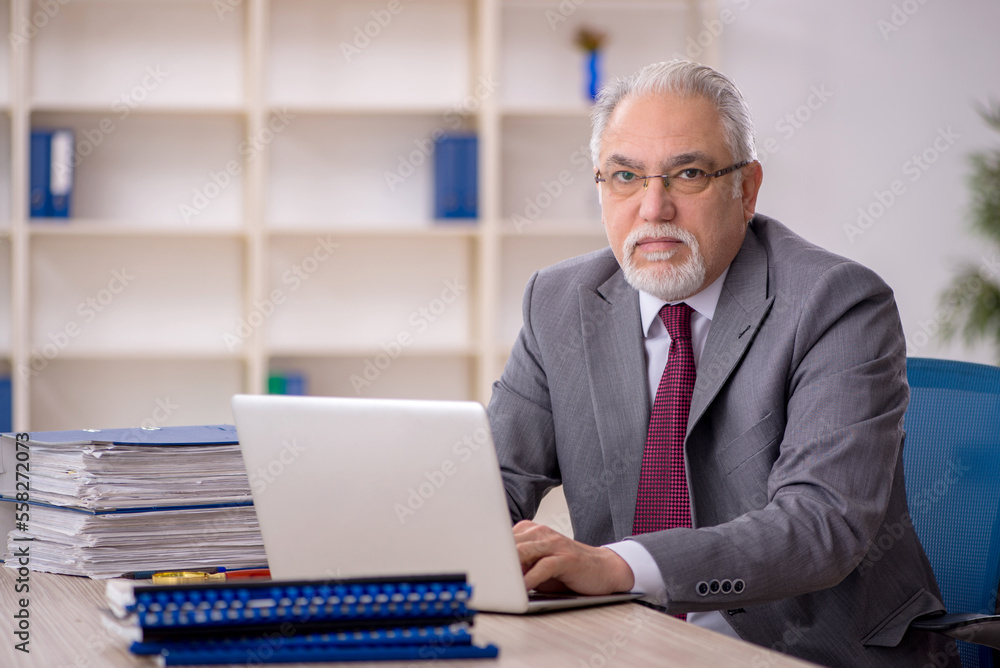 Old male employee working in the office Old male employee working in the office