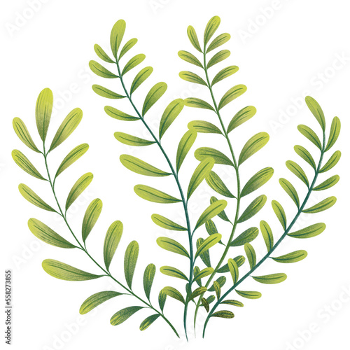 Green Leaves Seaweed PNG Clipart