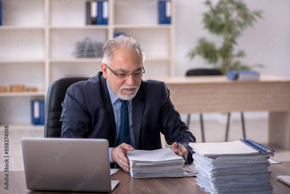 Old male employee working in the office Old male employee working in the office