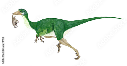かつてはトロ―ドンという名が一般的であった。小型の肉食恐竜。知能が高く、夜も活動性を確保する大きな目は立体視が可能な構造であった。メスの抱卵中、獲物を彼女のもとに運ぶオスの帰巣を想像して描いた。 © Mineo