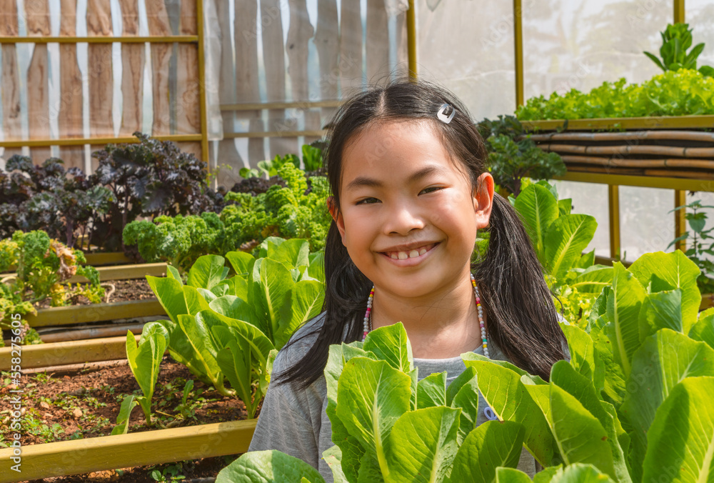 Portrait of Asian cute child girl in organic vegetables greenhouse, big ...