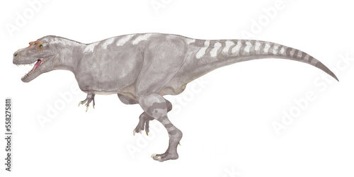 Obraz na plátně アルバートサウルス(アルバータのトカゲ）は白亜紀後期末期に生息したティラノサウルスの眷属。ゴルゴサウルス・リブラトゥスとの属内の分類が一致していない諸説を含むが