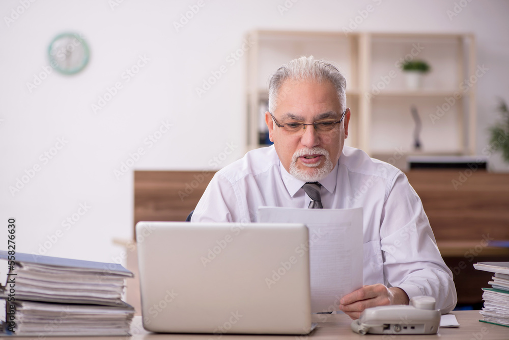 Old male boss employee working in the office Old male boss employee working in the office