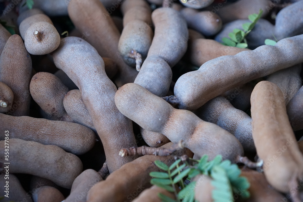 Sweet tamarind with brown pods is commonly grown in South Asia. and