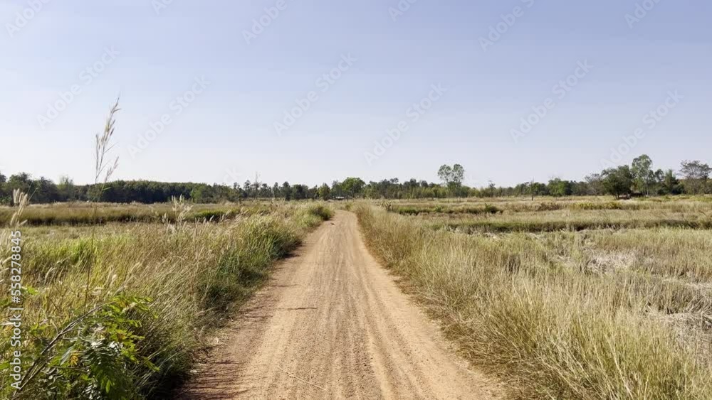 Path on the fields after the harvest.Nature in a tropical farm in Thailand, Asia zone. Path on the fields after the harvest.Nature in a tropical farm in Thailand, Asia zone.