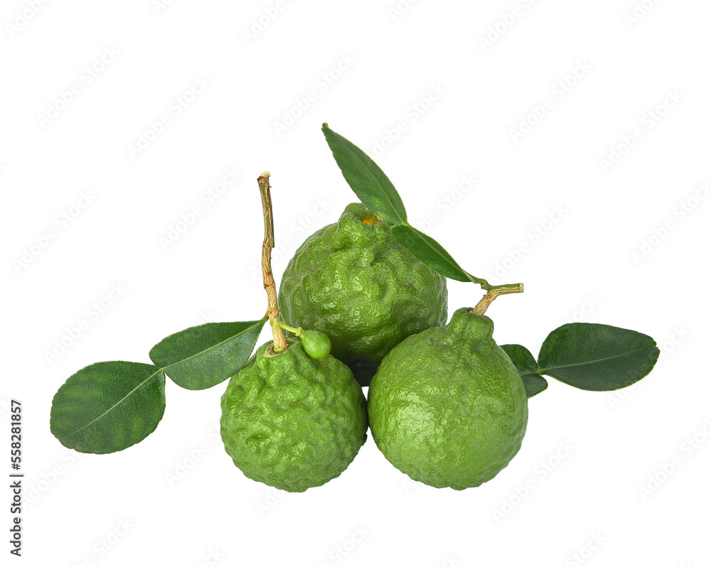 Bergamot fruit with stem and leaf isolated on transparen png. Clipping path.