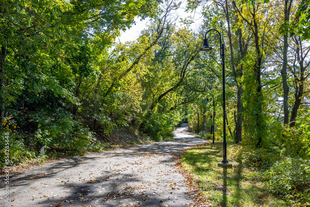 Winding footpath in an alley with autumn trees and illuminating lanterns on a sunny day Winding footpath in an alley with autumn trees and illuminating lanterns on a sunny day