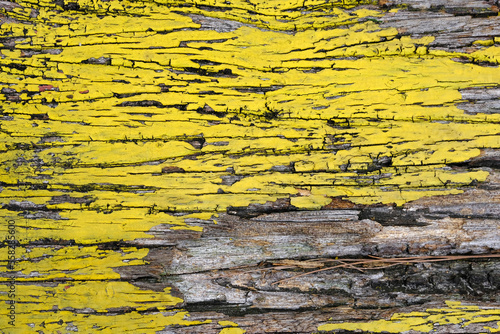 old wood texture