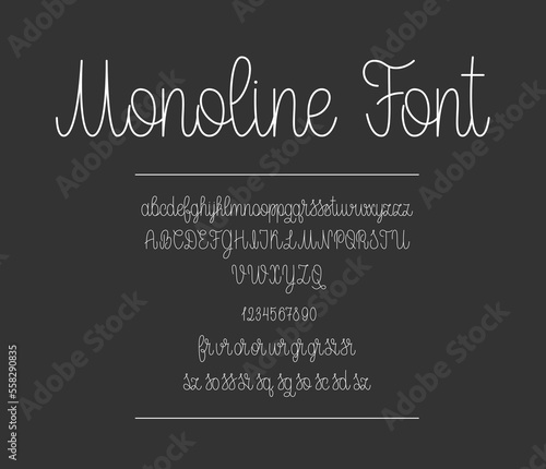 Monoline Script Font. Handwritten English alphabet. Linear Letters and Numbers. Modern calligraphic font.
