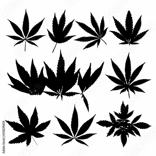 cannabis leaf silhouette icon design black white background set photo