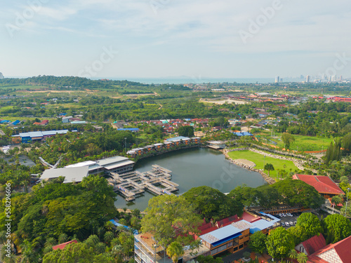 Fototapeta Naklejka Na Ścianę i Meble -  Aerial top view of green trees in Nong Nooch Tropical Garden Park. Green eco area in smart urban city at noon, Pattaya, Thailand. Environment nature landscape background.