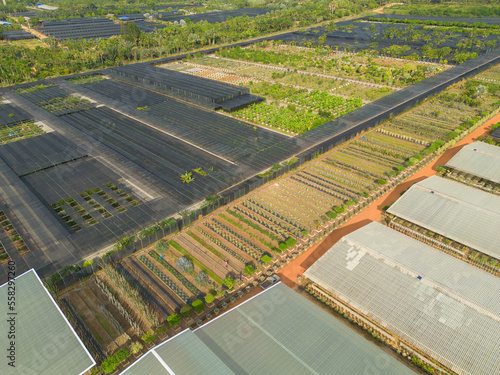 Aerial top view of tents roof in plant industry farm, green agricultural field in countryside or rural area in Asia. Nature landscape background.