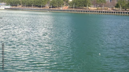 a river that flows by the waterfront park
