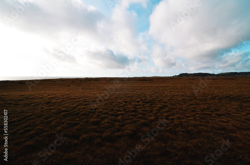 moody landscape along the coast isolated from civilization