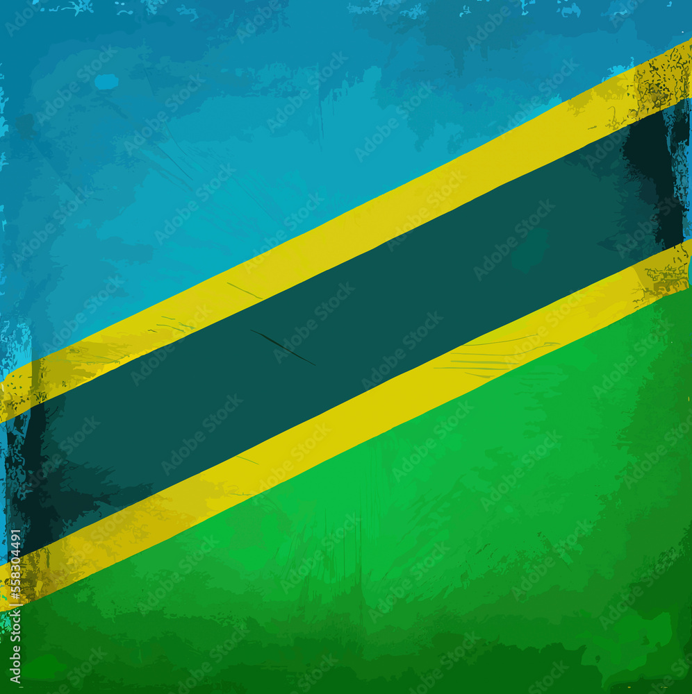 illustration of the Tanzania flag