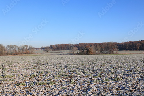 Schöne Winterlandschaft bei Beckum im Münsterland photo