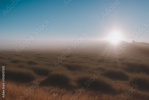 The sun's rays shone through the foggy glass field, creating an atmospheric scene.
