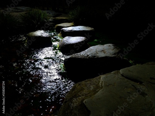 日本庭園　月明りの沢飛石