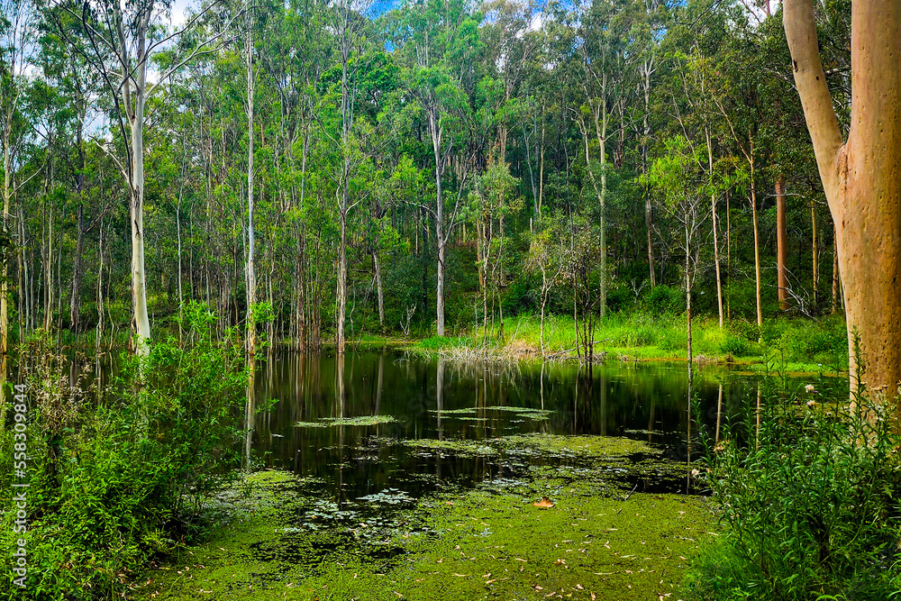 Dark Pond, Mount Goolman Dark Pond, Mount Goolman