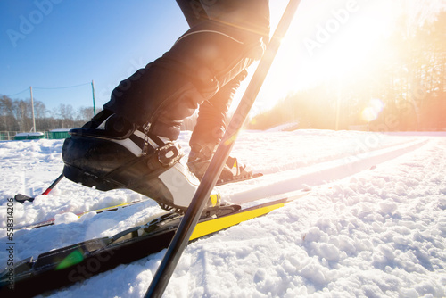 Canvas Print Cross country skiing, winter sport on snowy track, sunset sun light background B