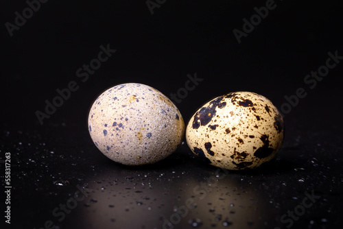 Quail eggs on a Black background (egg).close up 