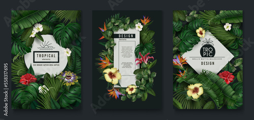 Photographie Tropic leaf banner, green jungle plants and exotic flowers