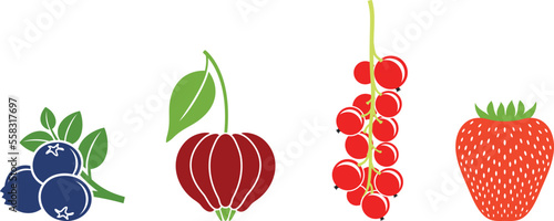 Fototapeta Naklejka Na Ścianę i Meble -  Berry logo. Isolated berry on white background