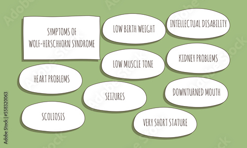 symptoms of Wolf-Hirschhorn Syndrome.  Vector illustration for medical journal or brochure. 