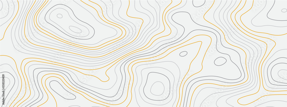 Fototapeta premium Abstract topographic contours map background. Topography lines and circles background. Colorful topographic map background.