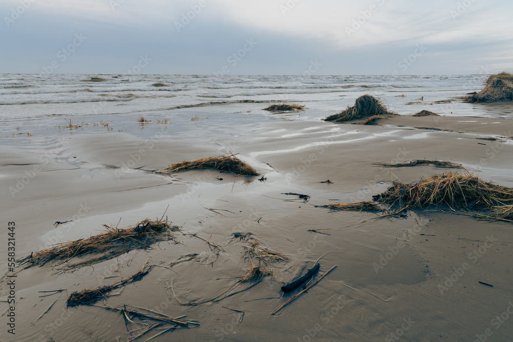 Fototapeta premium Wavy Baltic Sea.