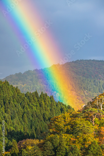 宮城県 鳴子峡に架かる虹と紅葉 