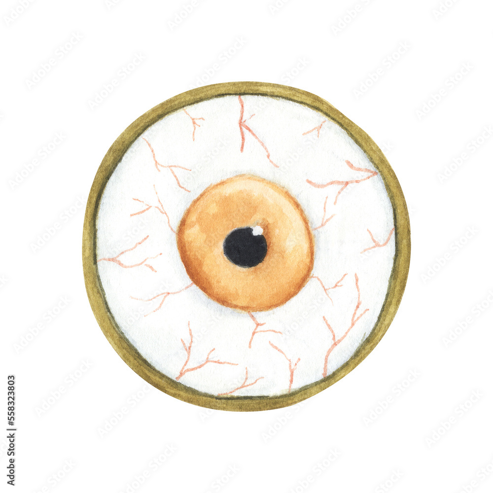 Halloween cookie. Watercolor illustration. Halloween cookie. Watercolor illustration.