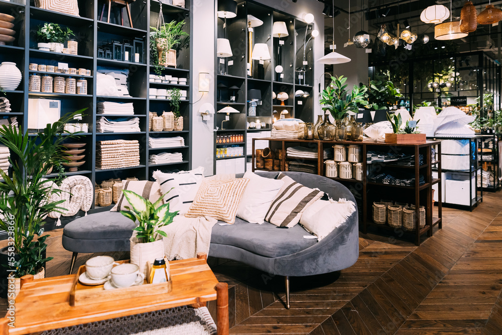 Home accessories and household products in store of shopping centre. View of home accessories for living room in shop fashion retail store. Sofa with pillows, table with cups. Home plant in flower pot - obrazy, fototapety, plakaty 