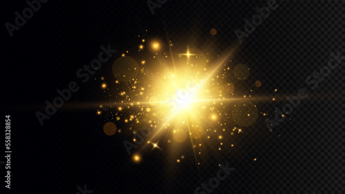 Golden particles of light. Golden light. Light flare.Stars isolated on transparent background.