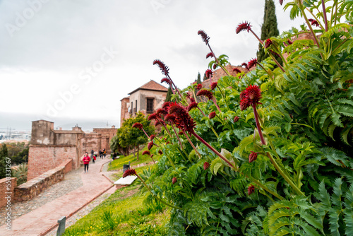 Architectural detail from the Alcazaba, a palatial fortification in Malaga, Spain