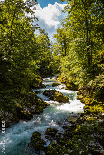 Vintgar gorge in Slovenia