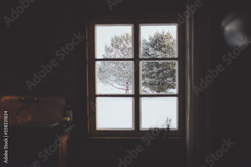 Snowy pine trees outside cabin window