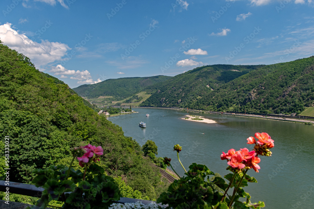 Der Rhein in der oberrheinischen Tiefebene bei Trechtingshausen, Rheinland-Pfalz