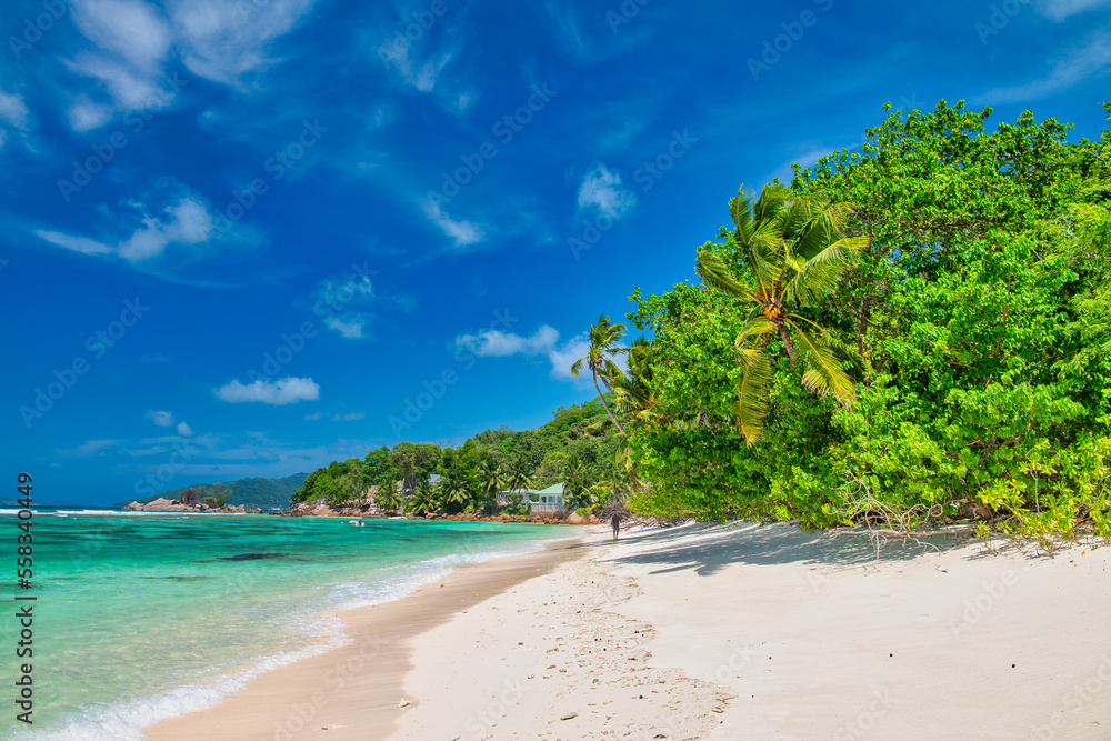 Fototapeta premium Tropical Paradise beach. Beautiful shoreline of Seychelles Islands