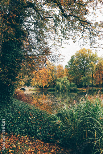 Landscape view of beautiful lake in park with superb autumn colors in trees 