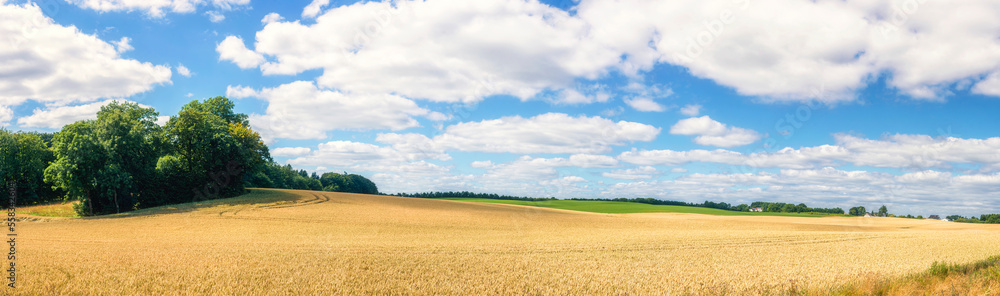 Rural countryside panorama landscape