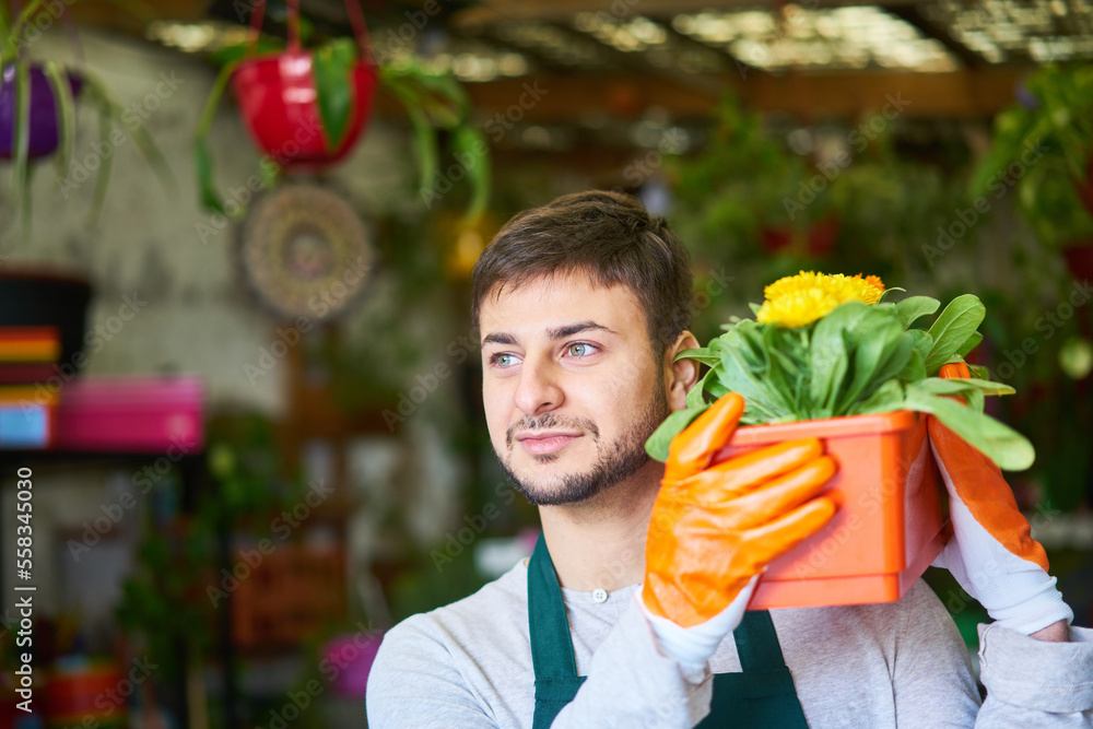 Gärtner oder Florist trägt Pflanzen für den Verkauf Stock Photo Adobe