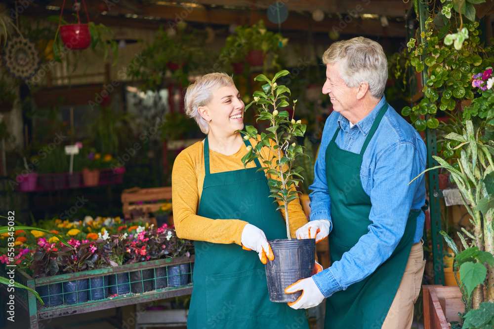 Junge Floristin und älterer Gärtner arbeiten zusammen Stock Photo
