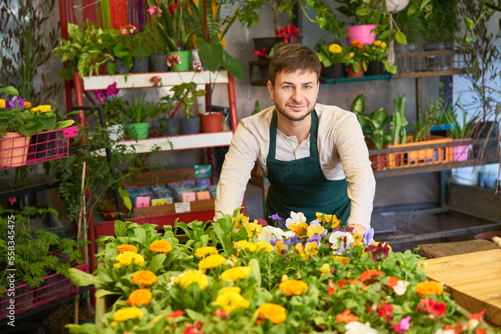 Florist im Blumengeschäft mit Auswahl an Pflanzen Stock Photo | Adobe Stock