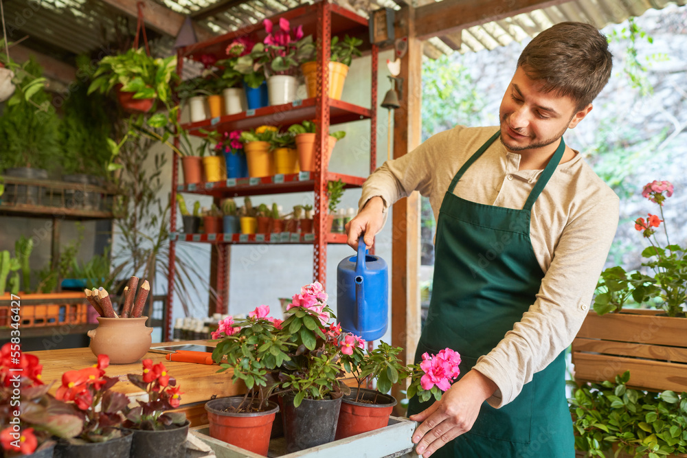 Gärtner beim Blumen gießen als Pflanzenpflege Stock Photo Adobe Stock