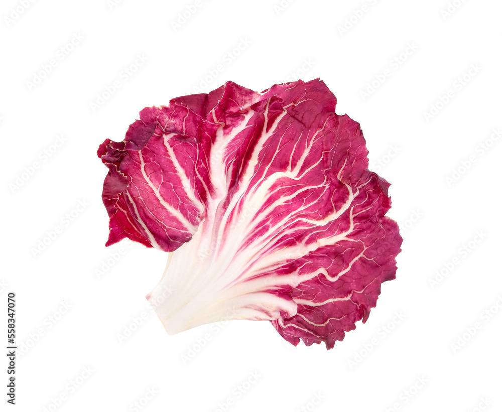 Radicchio leaf, red salad isolated on white Radicchio leaf, red salad isolated on white