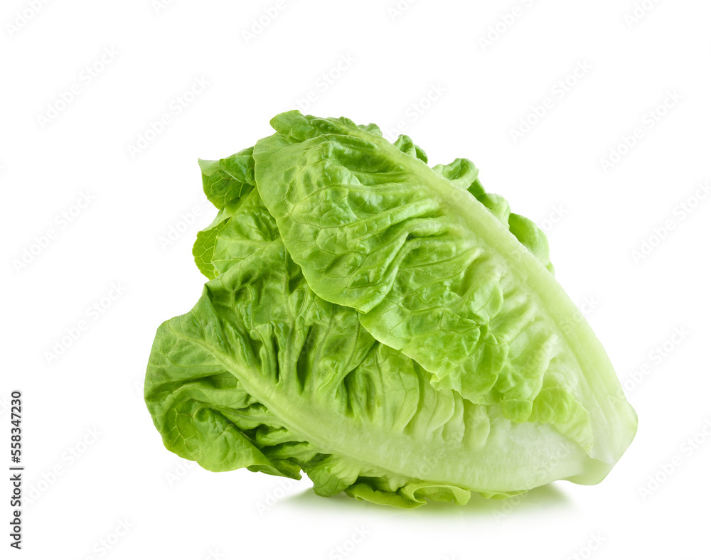 fresh baby cos (lettuce) on white background fresh baby cos (lettuce) on white background