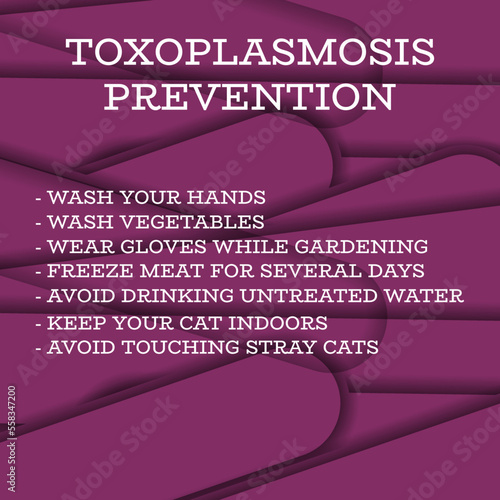 toxoplasmosis PREVENTION.Vector illustration for medical journal or brochure. 