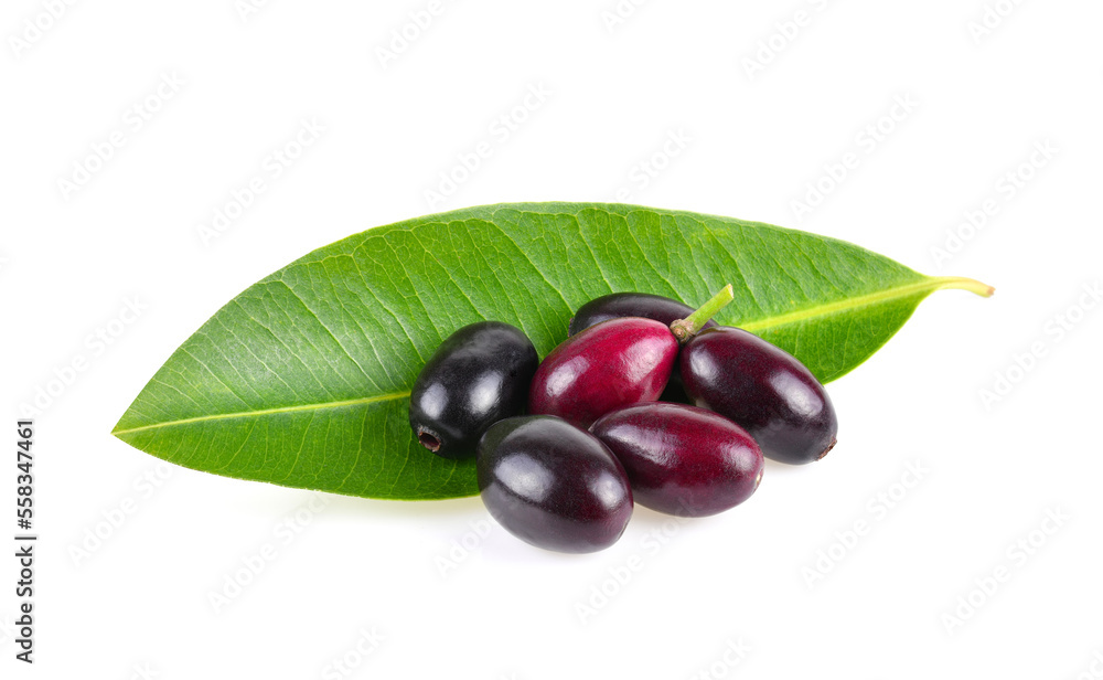Jambolan plum or Java plum isolated on white background